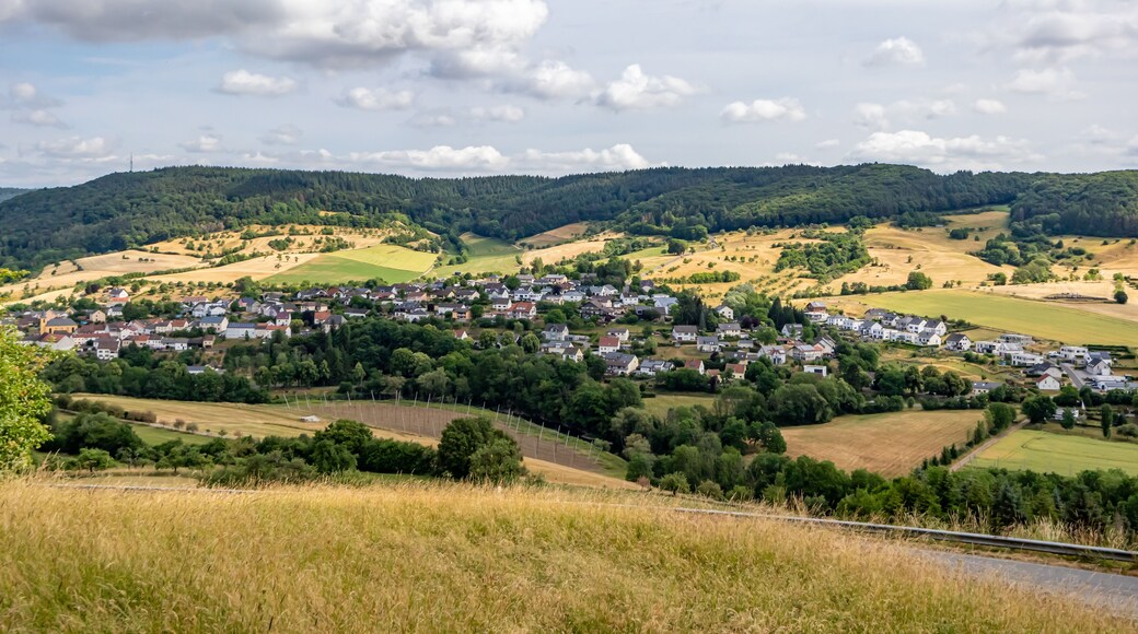 Aerial view of German countryside with small village among farmland, green leafy trees covering hill in background, sunny day in Eiffel Kreis, Bitburg-Prüm district in Rijnland-Palts, Germany