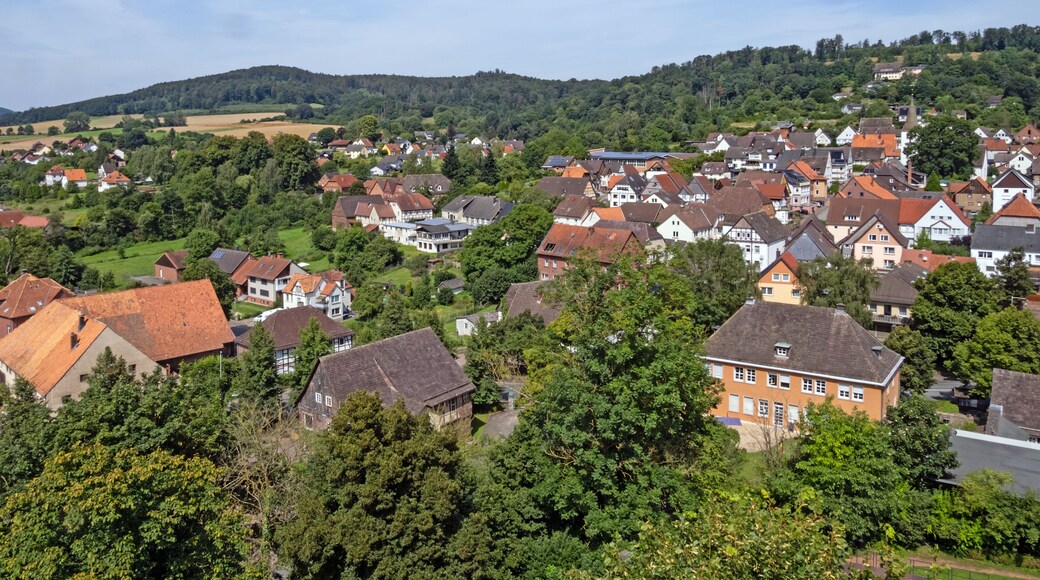 Arrondissement de Holzminden