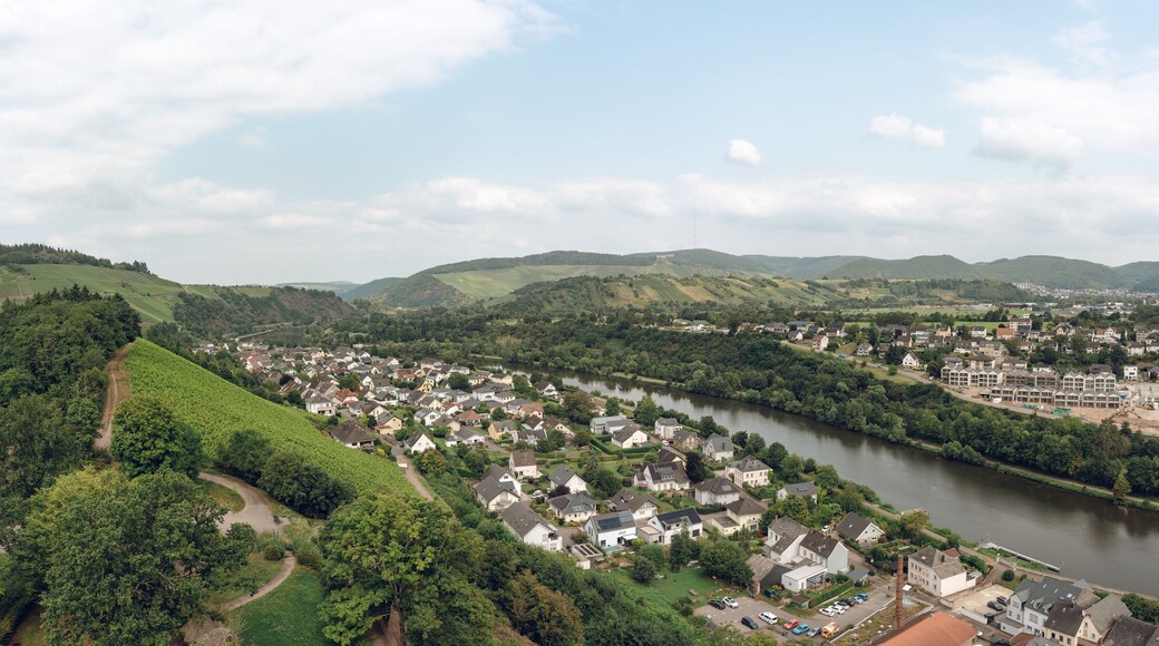 Arrondissement de TrĂšves-Sarrebourg