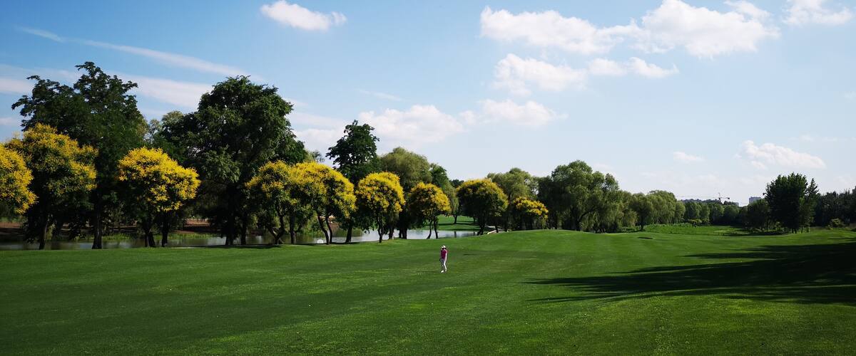 A golf course with a water body and trees with yellow flowers.