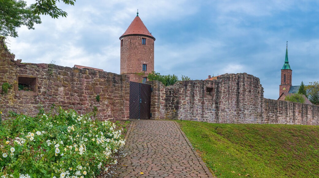 Arrondissement de Rhin-Neckar