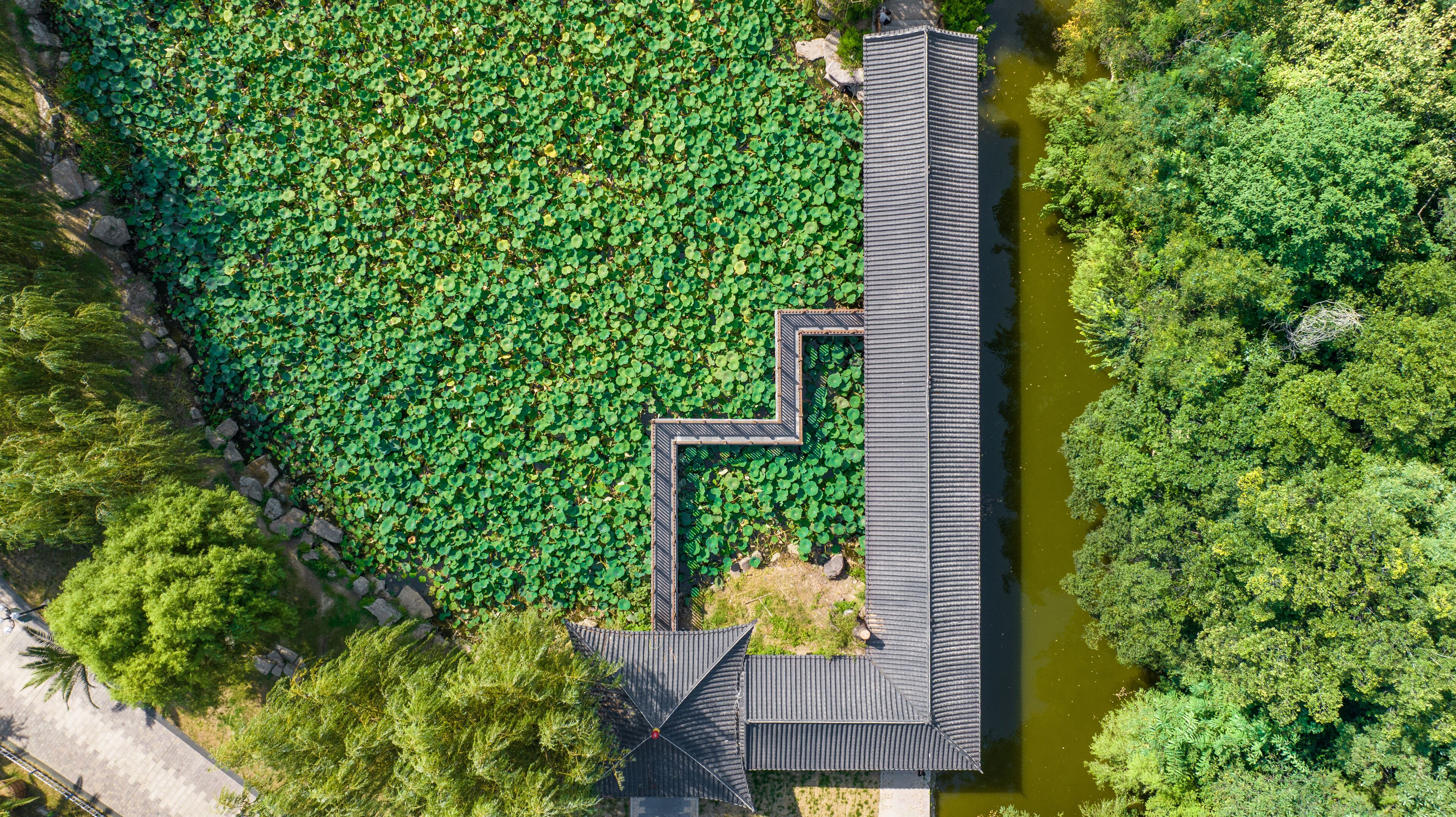 Aerial photography of Chang'an Park and Longquan Tower in Chang'an District, Shijiazhuang City, Hebei Province, China