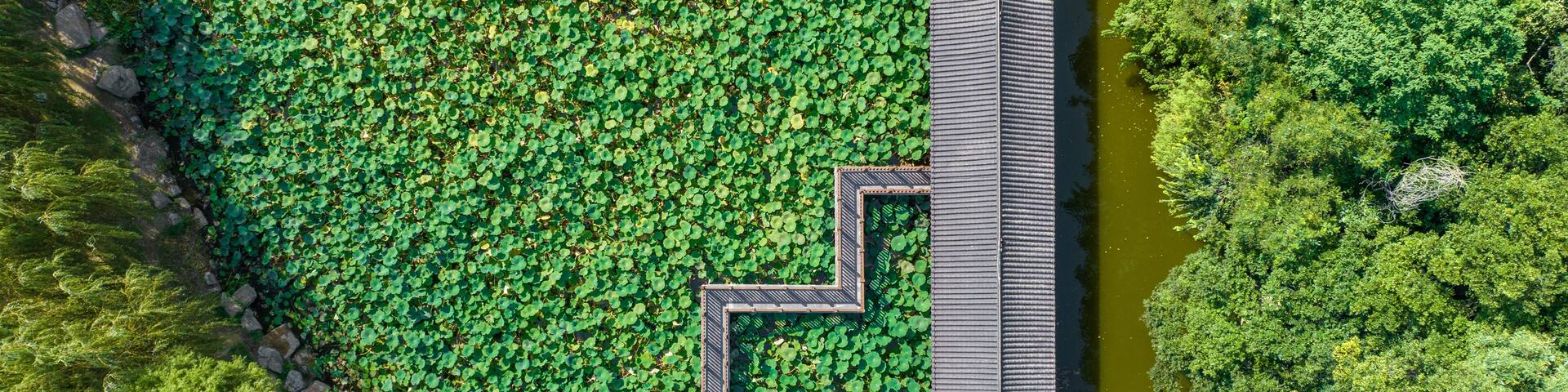 Aerial photography of Chang'an Park and Longquan Tower in Chang'an District, Shijiazhuang City, Hebei Province, China