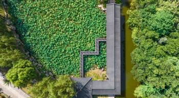 Ein traditionelles japanisches Gebäude mit einem Ziegeldach, umgeben von einem Teich und üppiger Vegetation.