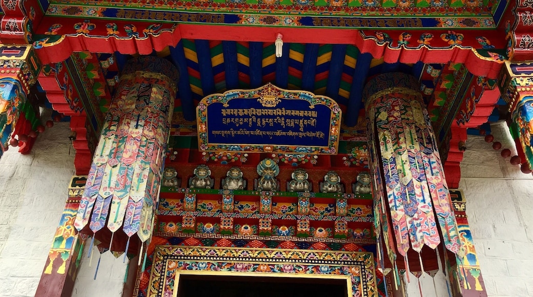 Lamaling monastery, Tibet
An awesome experience to be up in Nyingchi, to visit the Lamaling monastery and so lucky that I am able to take photos inside the temple where we are not allow to do so. #details #red #travel #temple #arches #architecture #hiking #nationalpark
