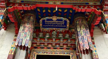 Lamaling monastery, Tibet
An awesome experience to be up in Nyingchi, to visit the Lamaling monastery and so lucky that I am able to take photos inside the temple where we are not allow to do so. #details #red #travel #temple #arches #architecture #hiking #nationalpark