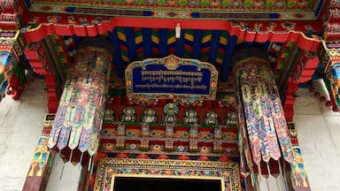 Lamaling monastery, Tibet
An awesome experience to be up in Nyingchi, to visit the Lamaling monastery and so lucky that I am able to take photos inside the temple where we are not allow to do so. #details #red #travel #temple #arches #architecture #hiking #nationalpark