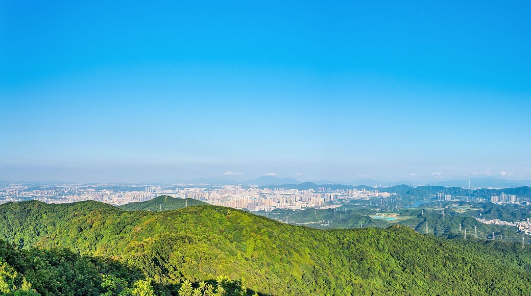 เขตหลงฮหวา