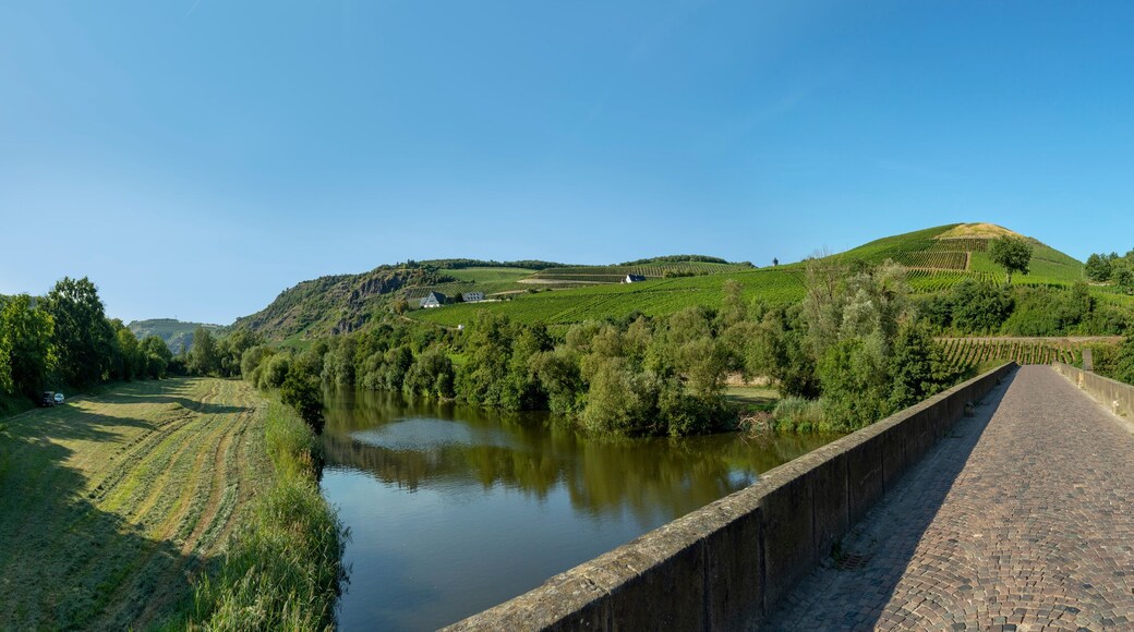 Distrito de Birkenfeld