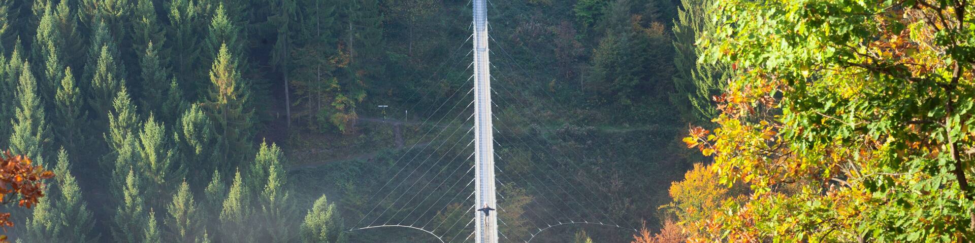 A suspension bridge in a forested area with mist and autumn foliage.