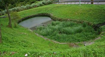Pinglin District