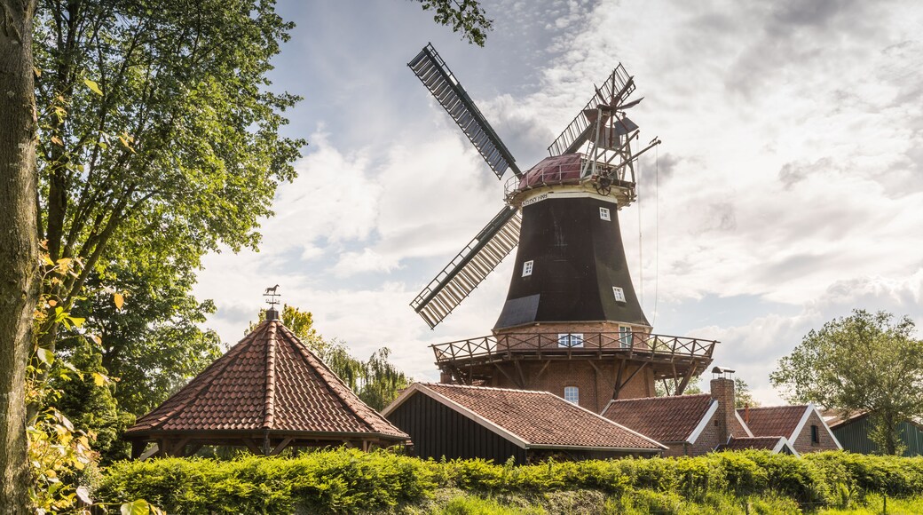 Arrondissement de Leer
