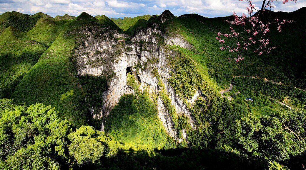 The Leye #Dashiwei Tiankengs,the miracle of world sinkholes.#乐业大石围——世界天坑的奇迹.
https://twitter.com/Beautifulgx