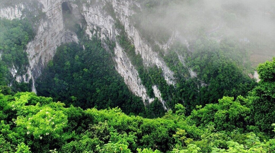 The #Dashiwei Tiankeng is generally viewed as the top spot in the world for its concentration,vastness and uniqueness.
https://twitter.com/Beautifulgx