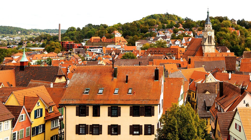 Arrondissement de TĂŒbingen