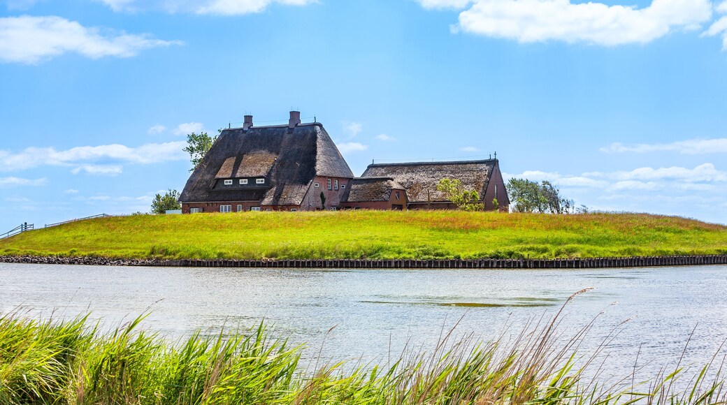 Hallig Hooge, North Friesland, Schleswig-Holstein, Germany, Europe.