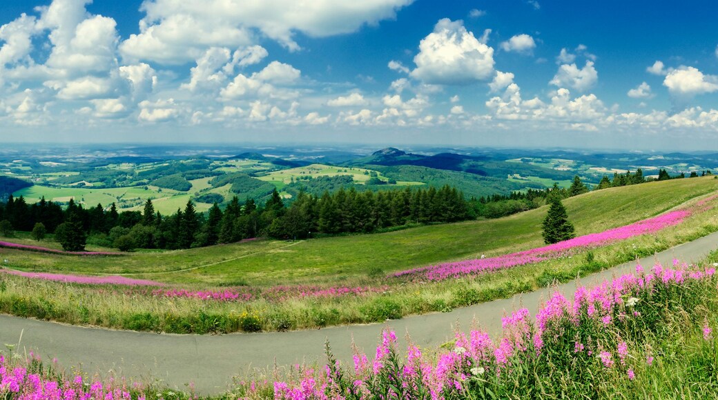 A winding road through a valley with vibrant purple flowers and rolling green hills under a partly cloudy sky.