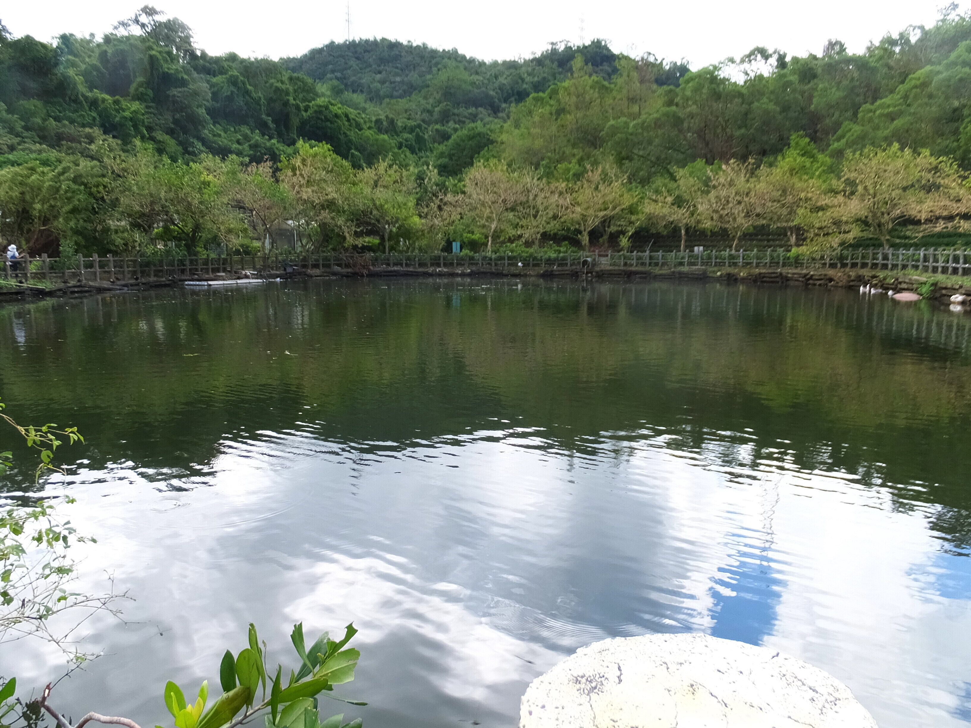 暖東苗圃 Nuandong Nursery Garden