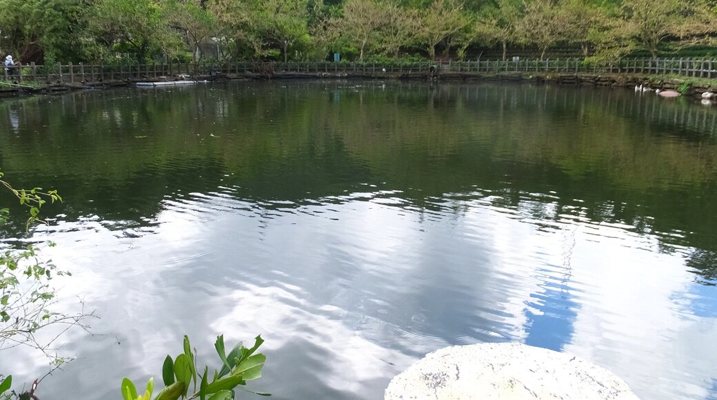 ææ±èć Nuandong Nursery Garden