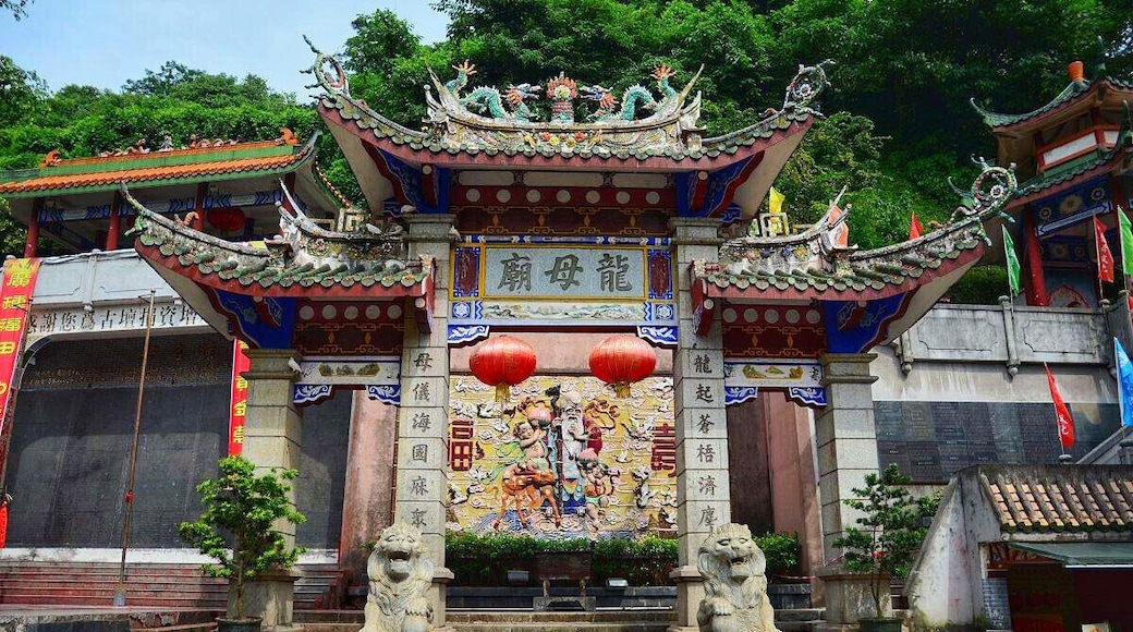 The First Chinese Longmu Temple——Dragon Mother's Temple of Wuzhou.
中国第一龙母庙
https://twitter.com/Beautifulgx
