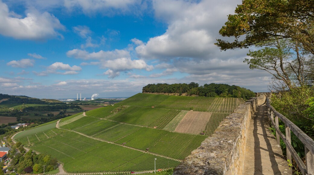 Distrito de Unstrut-Hainich