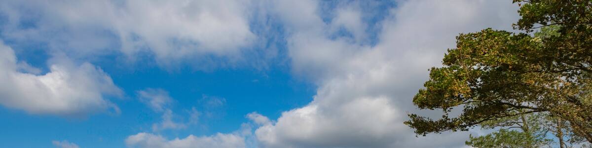 Weinberg,Germany,9,2015; is a former municipality in the Unstrut-Hainich-Kreis district of Thuringia