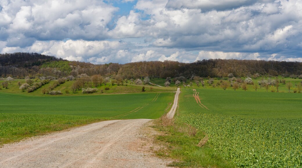 Distrito de Hildburghausen