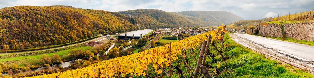 Web banner of the Weir on the River Nahe in Niederhausen, Water reservoir, impoundment on the River Nahe in Niederhausen, district of Bad Kreuznach in Rhineland-Palatinate