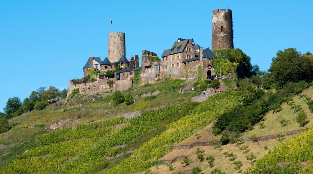 Distrito de Mayen-Coblenza