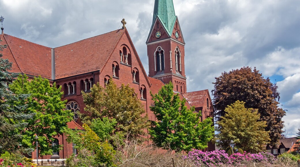 Arrondissement de Vechta