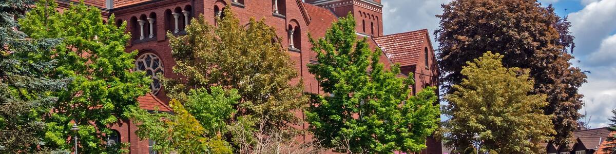 Kirche St. Gorgonius in Goldenstedt, Landkreis Vechta, Niedersachsen, Deutschland