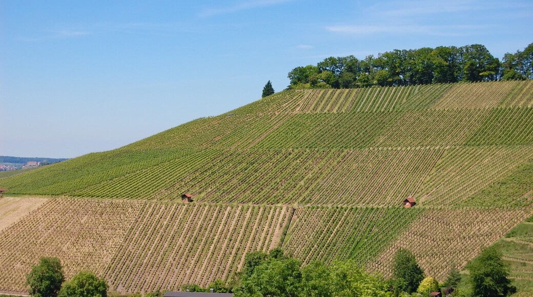 Distrito de Luisburgo