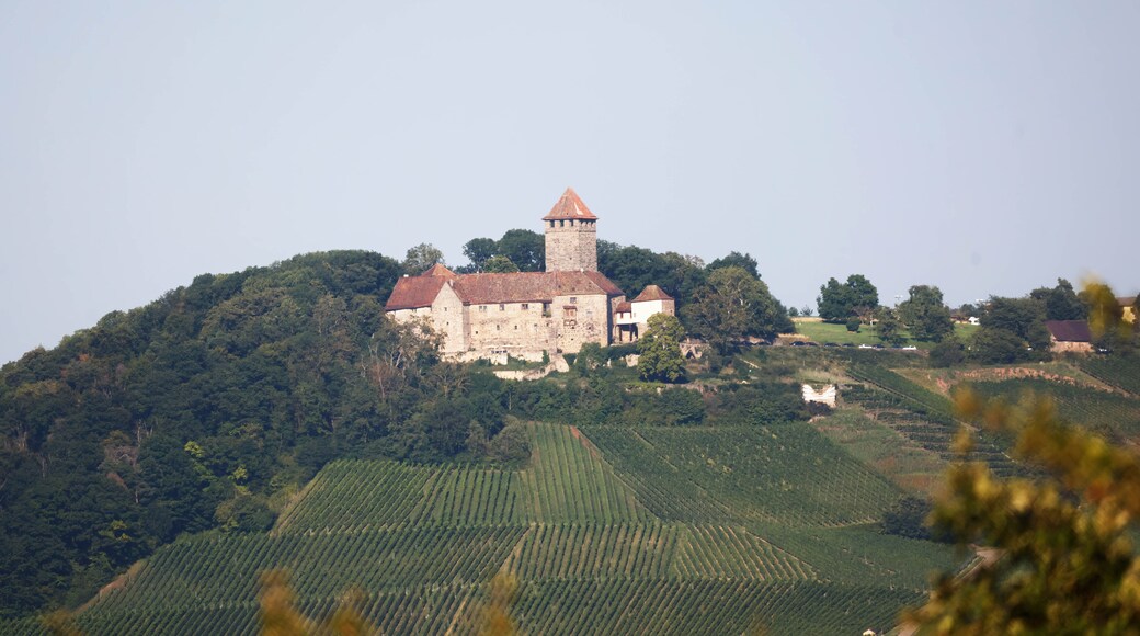 Distrito de Luisburgo