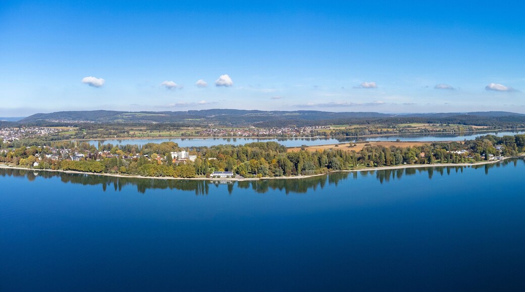 Arrondissement de Constance