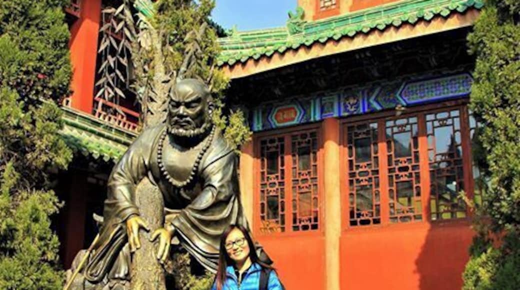 Daxiangguo Temple #lifeatexpedia