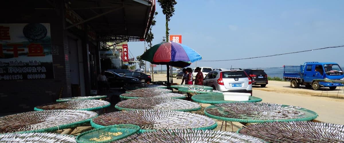 #Fish drying 晒鱼. 
https://twitter.com/Beautifulgx