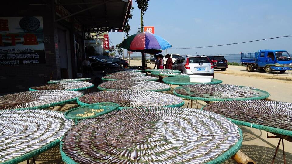 #Fish drying 晒鱼.
https://twitter.com/Beautifulgx