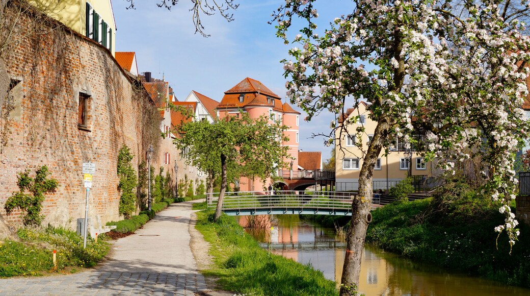 Arrondissement de Danube-Ries