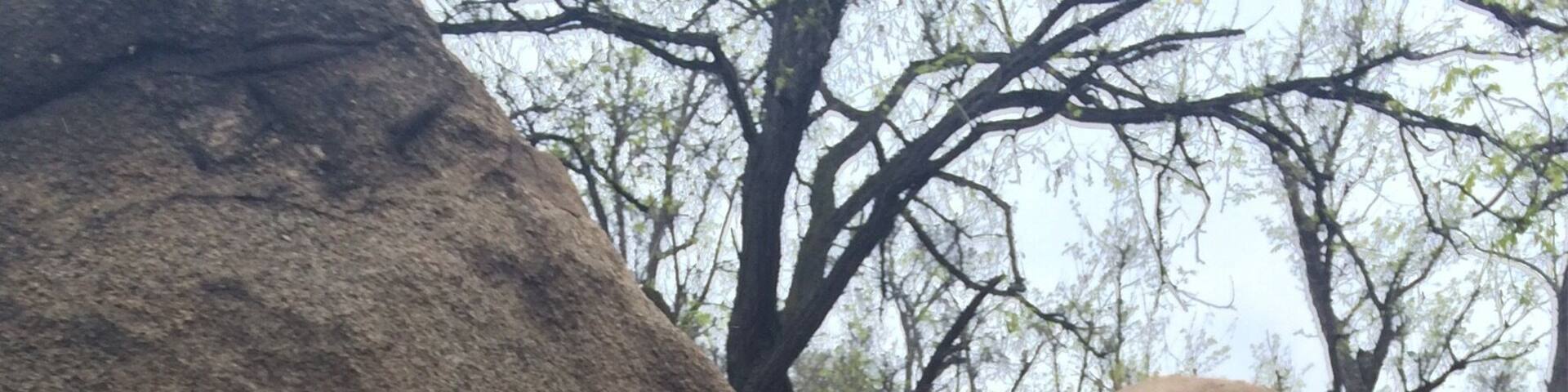 There's a lot of mountain climbing activities here. Like these one here, if translated directly is "The pathway to heaven". The view from the top is really heavenly. ;)