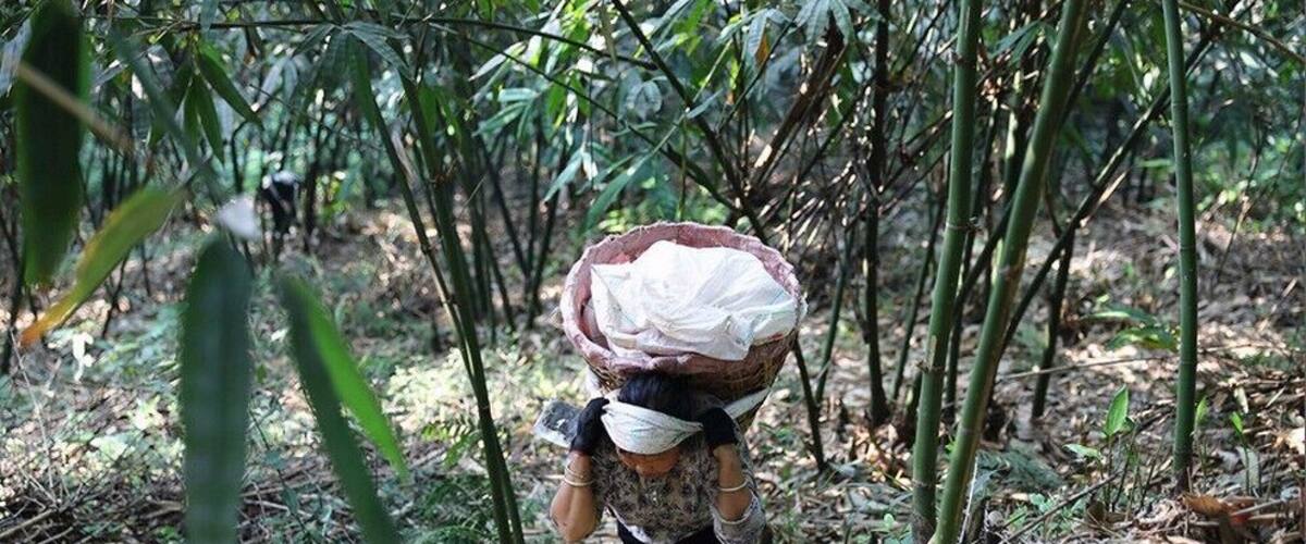 A Bite of China——Liuzhou Luosi rice noodles and its magical sour bamboo shoots.
https://twitter.com/Beautifulgx