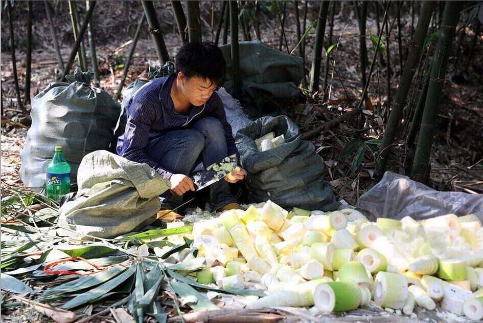 A Bite of China——Liuzhou Luosi rice noodles and its magical sour bamboo shoots.

 https://twitter.com/Beautifulgx 