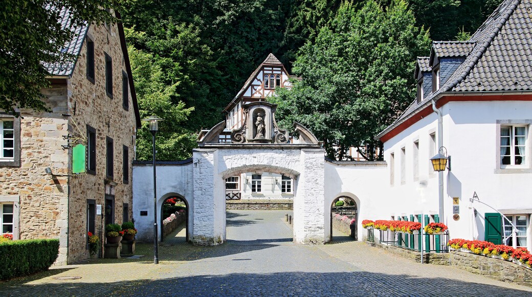 Arrondissement de Rhin-Berg