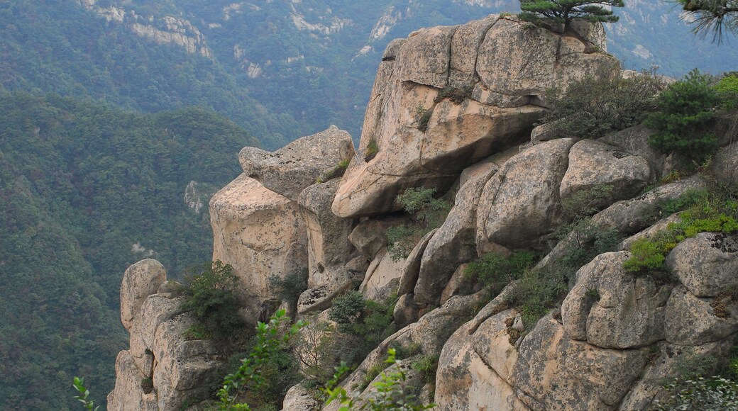 Mengshan scenic area.