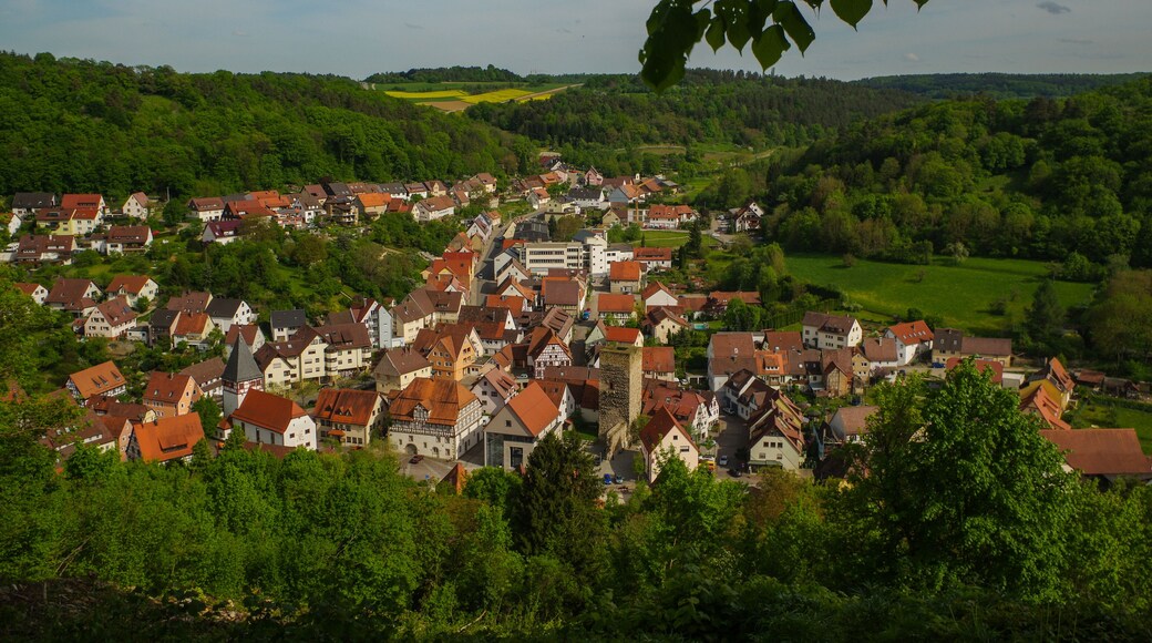 Arrondissement d'Enz
