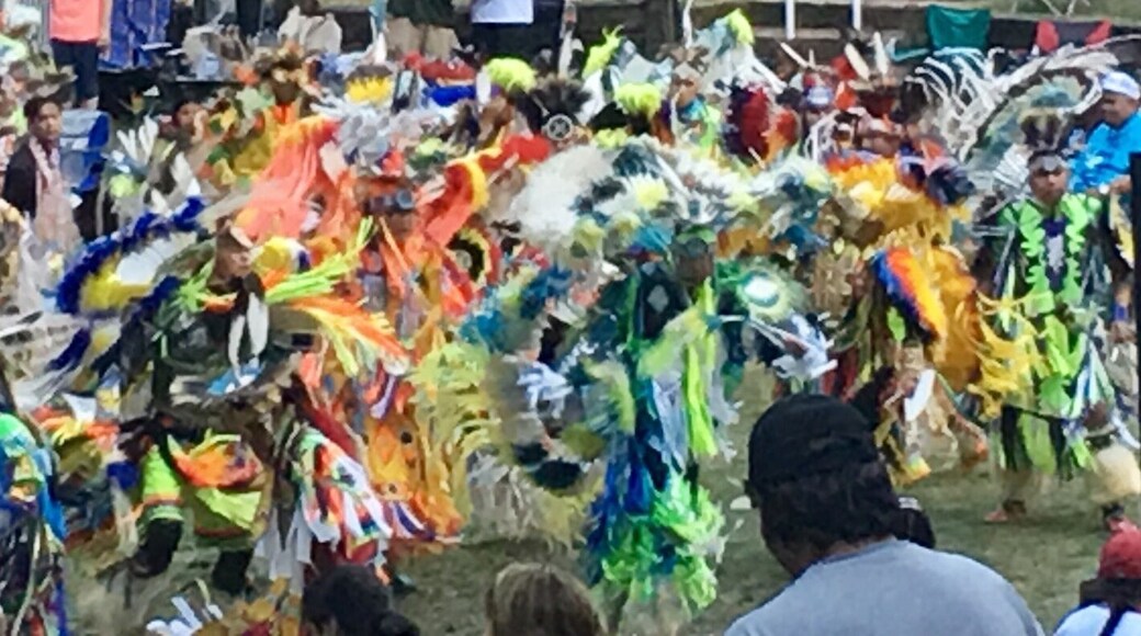 Native American Dancers from tribes all over the world - Menominee Tribe / 50th Annual Pow Wow.