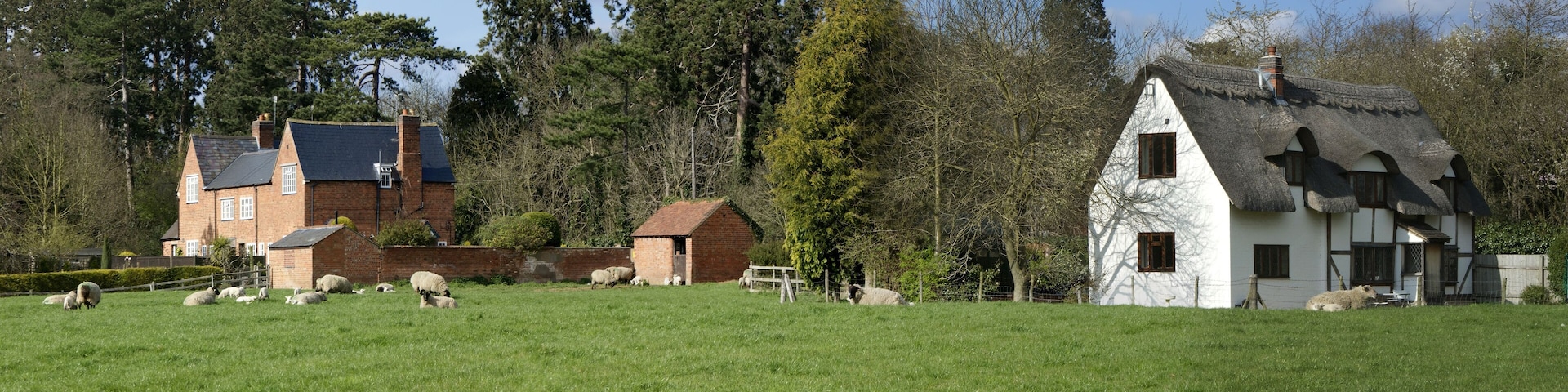 Farmland