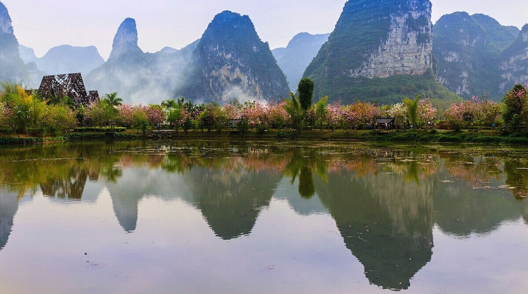 #Ming-shi Countryside of #Guangxi: a beauteous and intoxicating space isolated from the noisy world. 犹如世外桃源的美景, 明仕田园山水美如画~