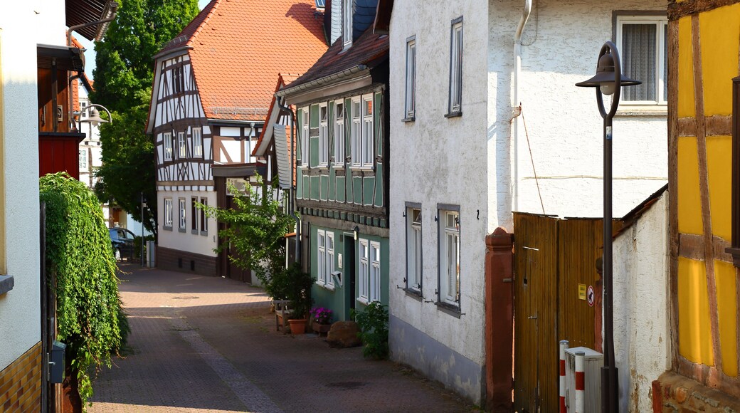 Arrondissement de Main-Taunus