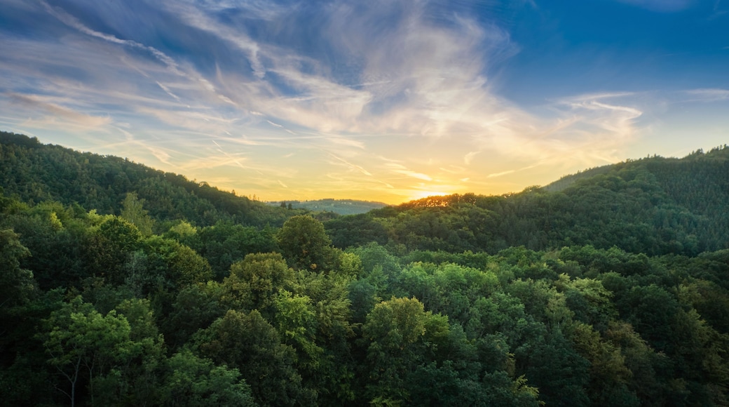Une vallée boisée au coucher du soleil.