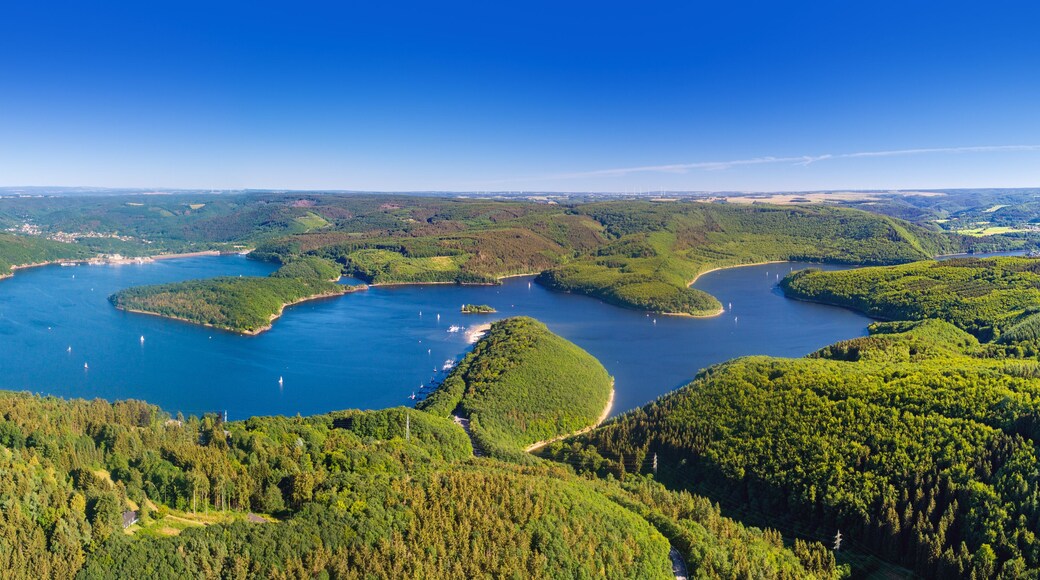 Un paysage cĂŽtier avec une vaste baie entourĂ©e de forĂȘts denses et un ciel bleu clair.